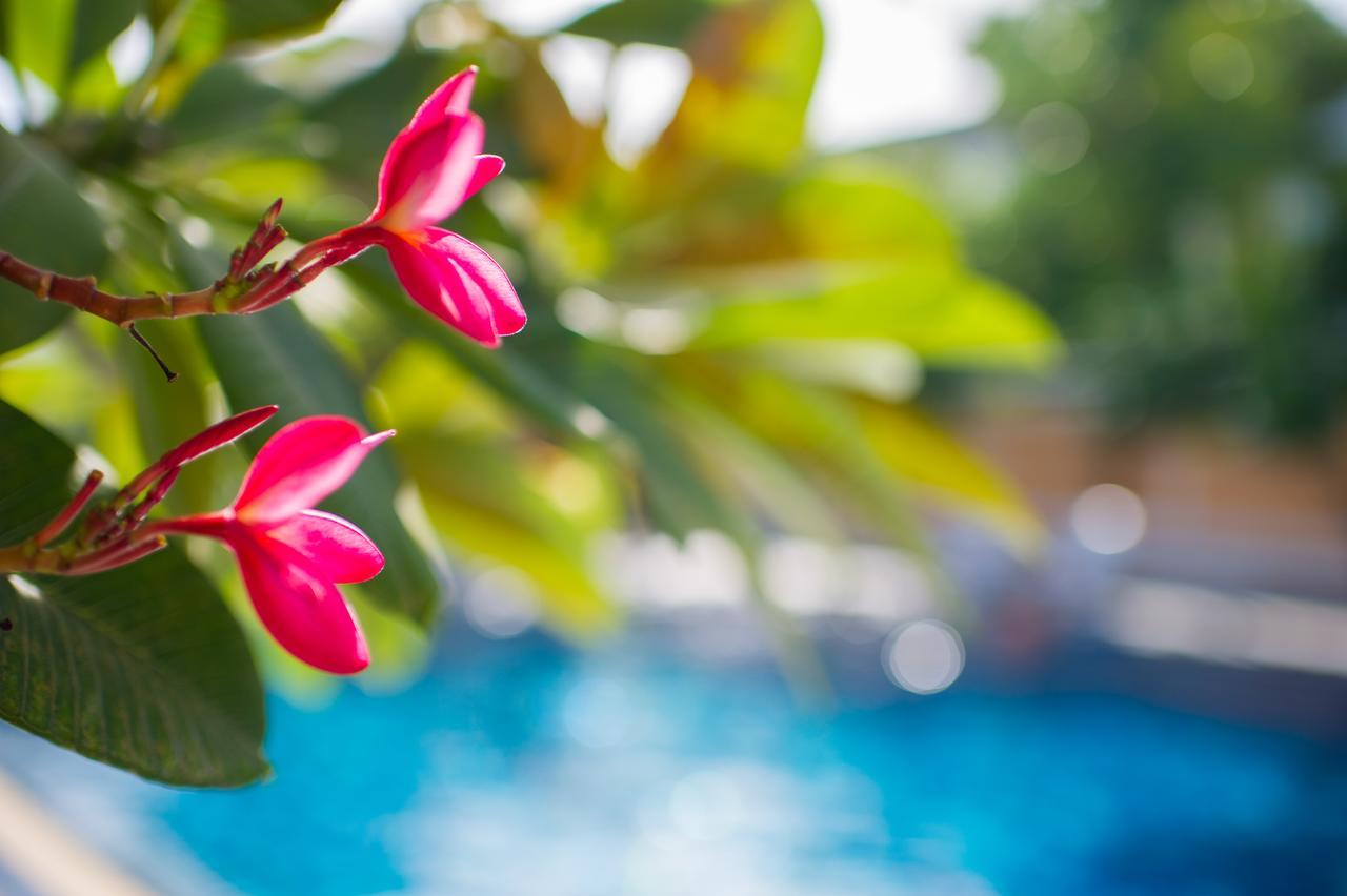 Pk Resort Pattaya Jomtien Beach Dış mekan fotoğraf